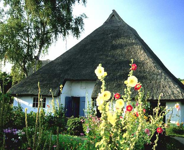 Das Pfarrwitwenhaus in Groß Zicker auf Rügen: Was könnte diesen Garten schöner zieren als Stockrosen?