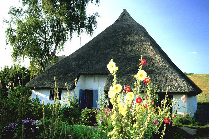 Das Pfarrwitwenhaus in Groß Zicker auf Rügen: Was könnte diesen Garten schöner zieren als Stockrosen?
