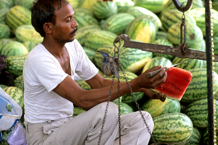 Melonenhändller in Agra.