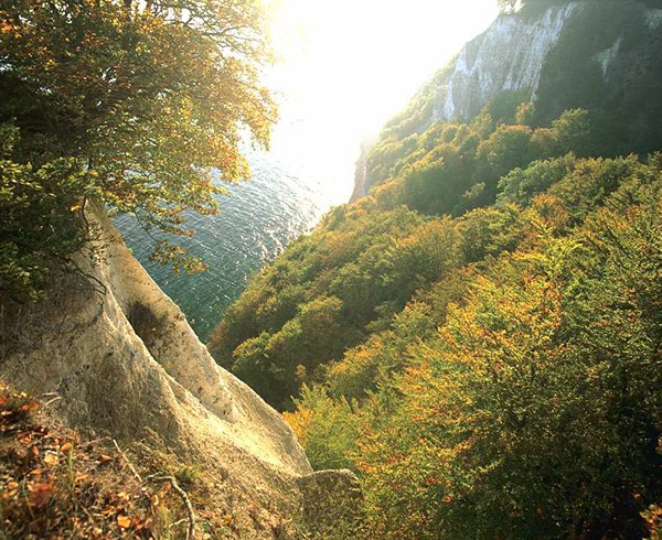 Sonnenaufgang am Königsstuhl: Die Stubbenkammer hat ihre ganz eigene Strahlkraft.